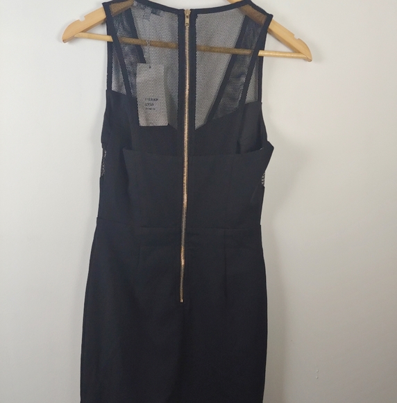 Lucy Paris black mesh trim dress